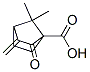 Bicyclo[2.2.1]heptane-1-carboxylic acid, 7,7-dimethyl-3-methylene-2-oxo- (9CI) CAS#: 791067-24-8