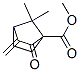Bicyclo[2.2.1]heptane-1-carboxylic acid, 7,7-dimethyl-3-methylene-2-oxo-, methyl ester (9CI) CAS#: 791067-25-9