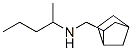 Bicyclo[2.2.1]heptane-2-methanamine, N-(1-methylbutyl)- (9CI) CAS#: 75382-69-3