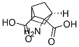Bicyclo[2.2.1]heptane-2,3-dicarboxylic acid, 2-amino-, [1R-(exo,exo)]- (9CI) CAS#: 774516-60-8