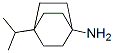 Bicyclo[2.2.2]octan-1-amine, 4-(1-methylethyl)- (9CI) CAS#: 740023-89-6