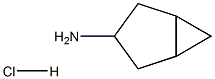 Bicyclo[3.1.0]hexan-3-aMine hydrochloride CAS#: 79531-79-6