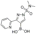 Boronic acid, [1-[(diMethylaMino)sulfonyl]-3-(2-pyridinyl)-1H-pyrazol-4-yl]- (9CI) CAS#: 746668-81-5