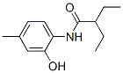 Butanamide, 2-ethyl-N-(2-hydroxy-4-methylphenyl)- (9CI) CAS#: 791840-83-0