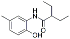 Butanamide, 2-ethyl-N-(2-hydroxy-5-methylphenyl)- (9CI) CAS#: 791840-84-1