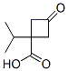 Cyclobutanecarboxylic acid, 1-(1-methylethyl)-3-oxo- (9CI) CAS#: 766513-48-8