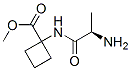 Cyclobutanecarboxylic acid, 1-[(2-amino-1-oxopropyl)amino]-, methyl ester, (R)- (9CI) CAS#: 744159-31-7
