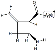 Cyclobutanecarboxylic acid, 2-amino-4-methylene-, (1R,2S)-rel- (9CI) CAS#: 748129-30-8