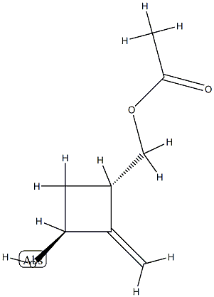 Cyclobutanemethanol, 3-hydroxy-2-methylene-, alpha-acetate, (1S,3S)- (9CI) CAS#: 743477-88-5