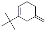 Cyclohexene, 1-(1,1-dimethylethyl)-5-methylene- (9CI) CAS#: 764654-24-2