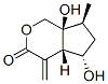 Cyclopenta[c]pyran-3(1H)-one, hexahydro-5,7a-dihydroxy-7-methyl-4-methylene-, (4aS,5S,7S,7aS)- (9CI) CAS#: 791836-08-3