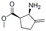 Cyclopentanecarboxylic acid, 2-amino-3-methylene-, methyl ester, cis- (9CI) CAS#: 759431-64-6
