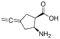 Cyclopentanecarboxylic acid, 2-amino-4-ethenylidene-, (1R,2S)- (9CI) CAS#: 776291-52-2