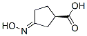 Cyclopentanecarboxylic acid, 3-(hydroxyimino)-, (R)- (9CI) CAS#: 73994-55-5