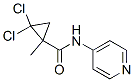Cyclopropanecarboxamide, 2,2-dichloro-1-methyl-N-4-pyridinyl- (9CI) CAS#: 774588-23-7