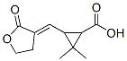 Cyclopropanecarboxylic acid, 3-[(dihydro-2-oxo-3(2H)-furanylidene)methyl]-2,2-dimethyl- (9CI) CAS#: 790612-67-8