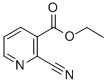ETHYL 2-CYANOPYRIDINE-3-CARBOXYLATE CAS#: 75358-90-6