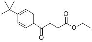 ETHYL 4-(4-T-BUTYLPHENYL)-4-OXOBUTYRATE CAS#: 75237-09-1