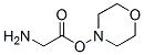Ethanamine, 2-(4-morpholinyloxy)-2-oxo- (9CI) CAS#: 744986-16-1