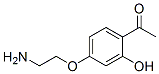 Ethanone, 1-[4-(2-aminoethoxy)-2-hydroxyphenyl]- (9CI) CAS#: 766446-05-3