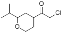 Ethanone, 2-chloro-1-[tetrahydro-2-(1-methylethyl)-2H-pyran-4-yl]- (9CI) CAS#: 77554-96-2