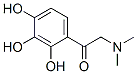 Ethanone, 2-(dimethylamino)-1-(2,3,4-trihydroxyphenyl)- (9CI) CAS#: 743366-16-7