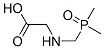 Glycine, N-[(dimethylphosphinyl)methyl]- (9CI) CAS#: 737730-13-1