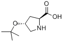 H-HYP(TBU)-OH CAS#: 79775-07-8