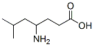 Heptanoic  acid,  4-amino-6-methyl- CAS#: 74892-75-4