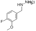Hydrazine, (4-fluoro-3-methoxyphenyl)- (9CI) CAS#: 766498-29-7