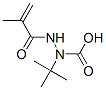 Hydrazinecarboxylic acid, 2-(2-methyl-1-oxo-2-propenyl)-, 1,1-dimethylethyl CAS#: 780781-39-7