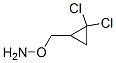Hydroxylamine, O-[(2,2-dichlorocyclopropyl)methyl]- (9CI) CAS#: 784089-71-0