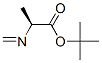L-Alanine, N-methylene-, 1,1-dimethylethyl ester (9CI) CAS#: 788126-06-7