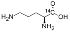 L-ORNITHINE, [1-14 C] CAS#: 77882-82-7