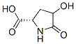 L-Proline, 4-hydroxy-5-oxo- (9CI) CAS#: 716361-98-7