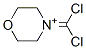Morpholinium, 4-(dichloromethylene)- (9CI) CAS#: 790600-30-5
