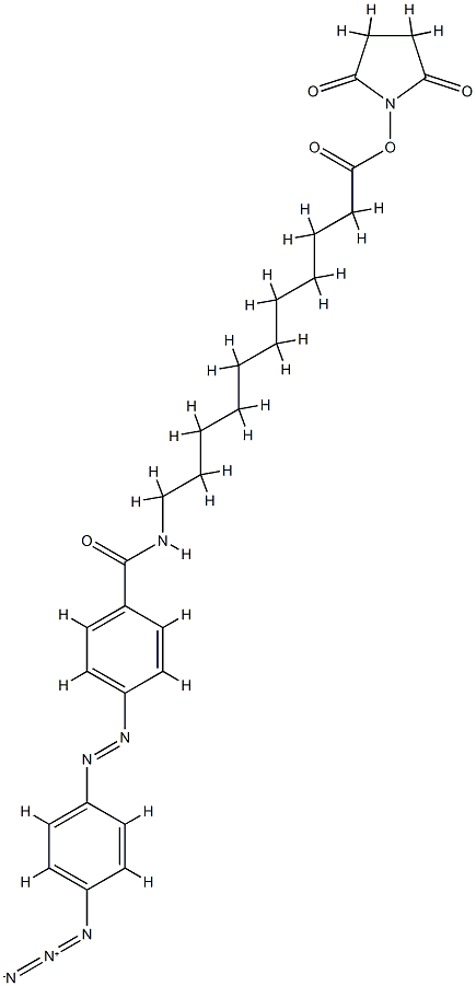 N-(4-(4-azidophenylazo)benzoyl)-11-aminoundecyl-N'-oxysuccinimide ester CAS#: 74726-33-3