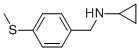 N-(4-(METHYLTHIO)BENZYL)CYCLOPROPANAMINE CAS#: 774556-71-7