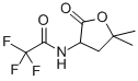 N-(5,5-DIMETHYL-2-OXOTETRAHYDRO-3-FURYL)-2,2,2-TRIFLUOROACETAMIDE CAS#: 77694-20-3