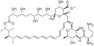 N-D-Ornithylamphotericin B methyl ester CAS#: 76023-49-9