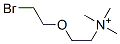 O-(2-bromoethyl)choline CAS#: 76584-54-8