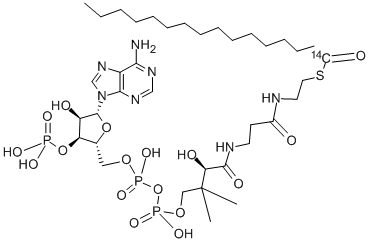 PALMITOYL COENZYME A, [PALMITOYL-1-14C] CAS#: 72089-31-7