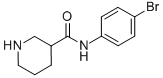 PIPERIDINE-3-CARBOXYLIC ACID (4-BROMO-PHENYL)-AMIDE CAS#: 749846-52-4