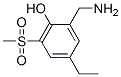 Phenol, 2-(aminomethyl)-4-ethyl-6-(methylsulfonyl)- (9CI) CAS#: 781570-06-7