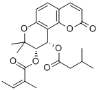 Praeruptorin E CAS#: 72463-77-5