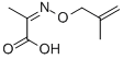 Propanoic acid, 2-[[(2-methyl-2-propenyl)oxy]imino]- (9CI) CAS#: 735221-46-2