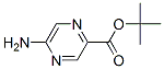Pyrazinecarboxylic acid, 5-amino-, 1,1-dimethylethyl ester (9CI) CAS#: 710322-34-2