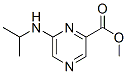 Pyrazinecarboxylic acid, 6-[(1-methylethyl)amino]-, methyl ester (9CI) CAS#: 717851-89-3