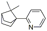 Pyridine, 2-(7,7-dimethylbicyclo[2.2.1]hept-1-yl)- (9CI) CAS#: 777799-13-0