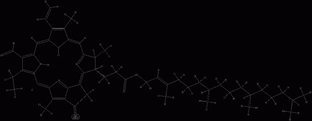 Pyropheophorbide b CAS#: 77331-75-0